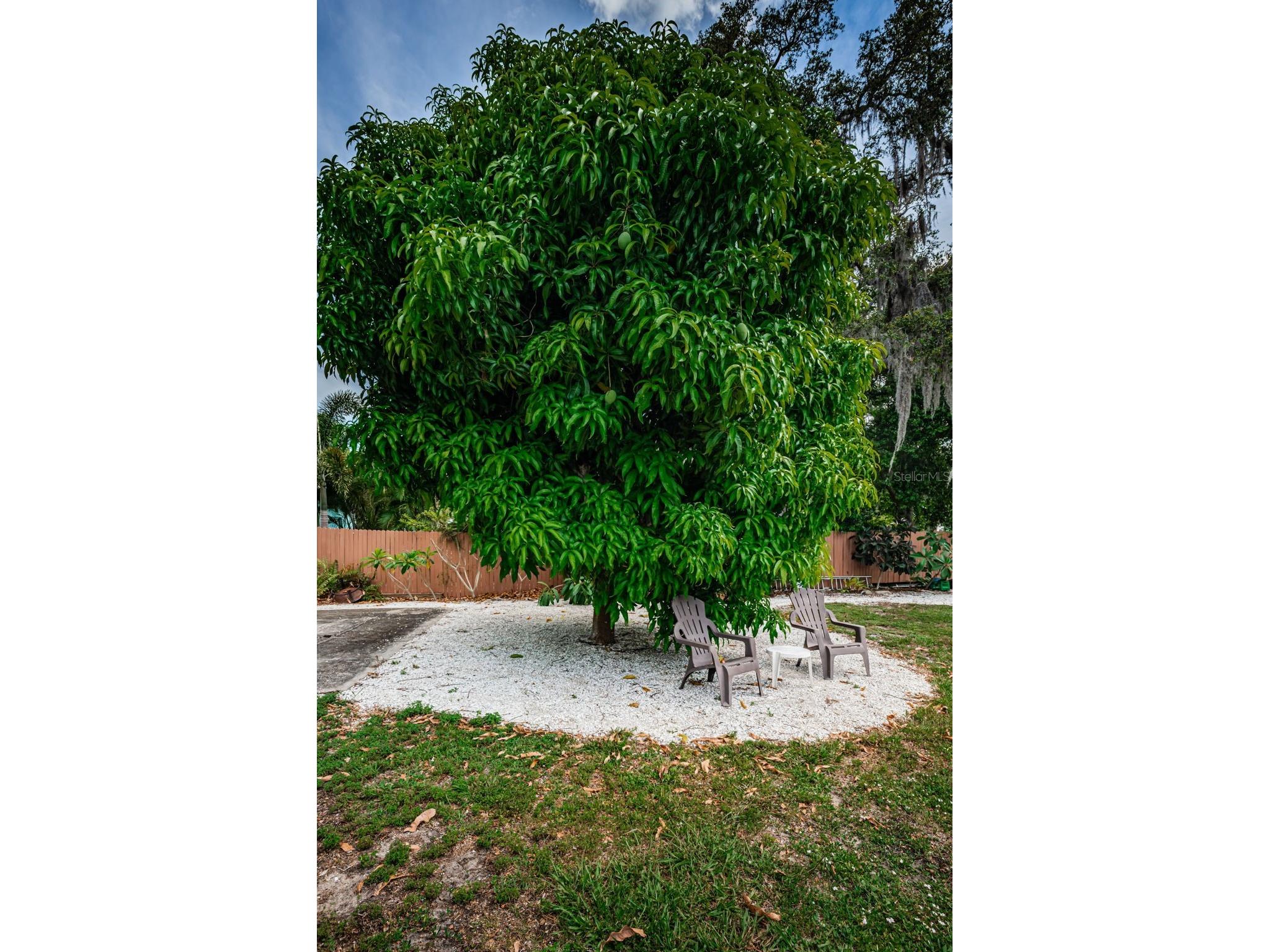 412 Pennsylvania Avenue Palm Harbor FL 34683 TB8521846 image34
