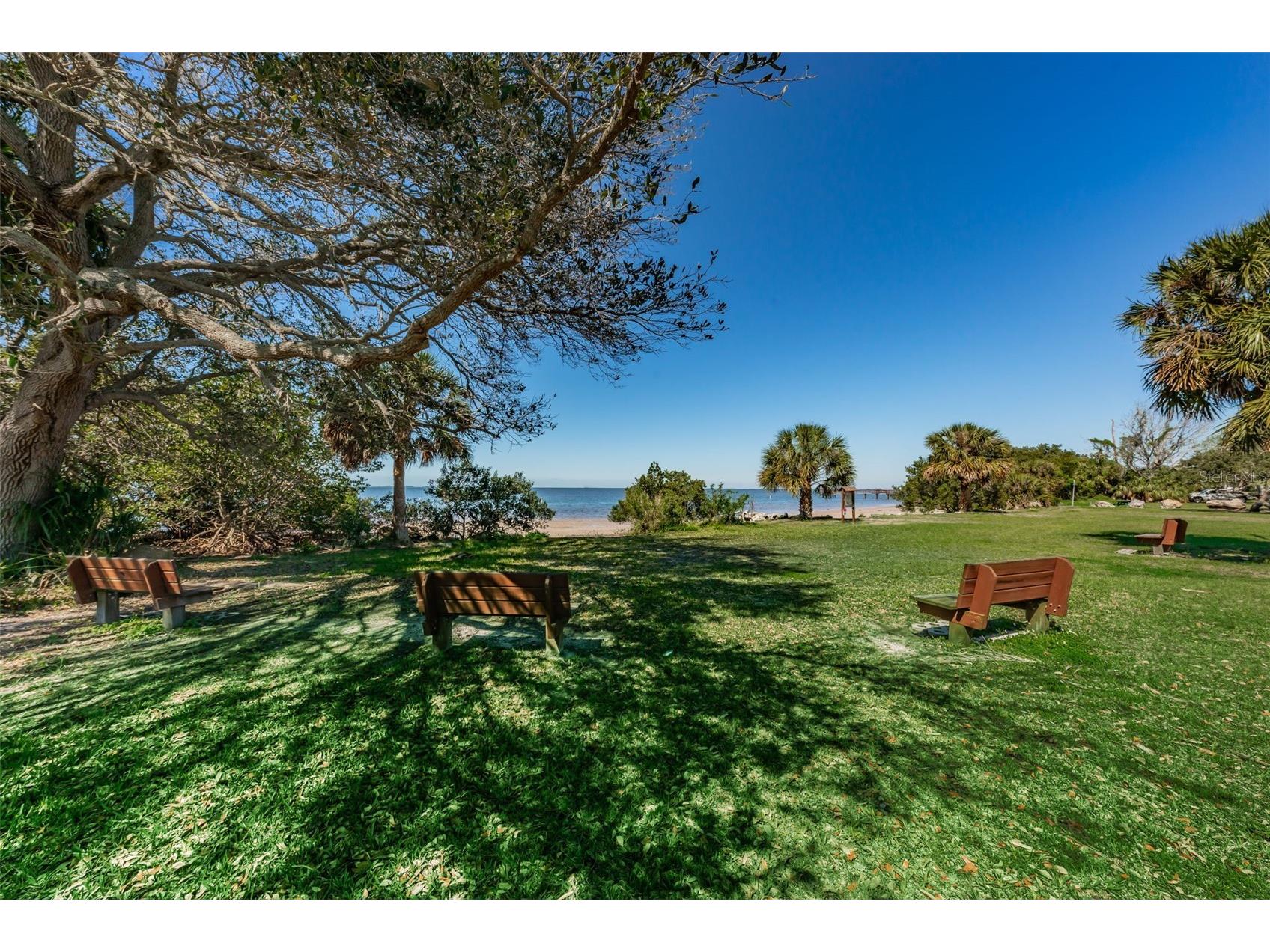 412 Pennsylvania Avenue Palm Harbor FL 34683 TB8521846 image39