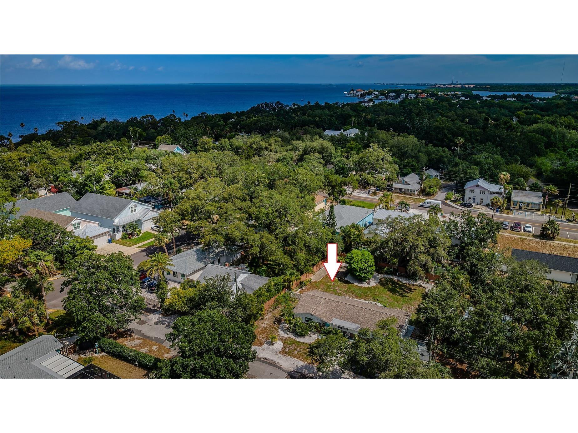 412 Pennsylvania Avenue Palm Harbor FL 34683 TB8521846 image4