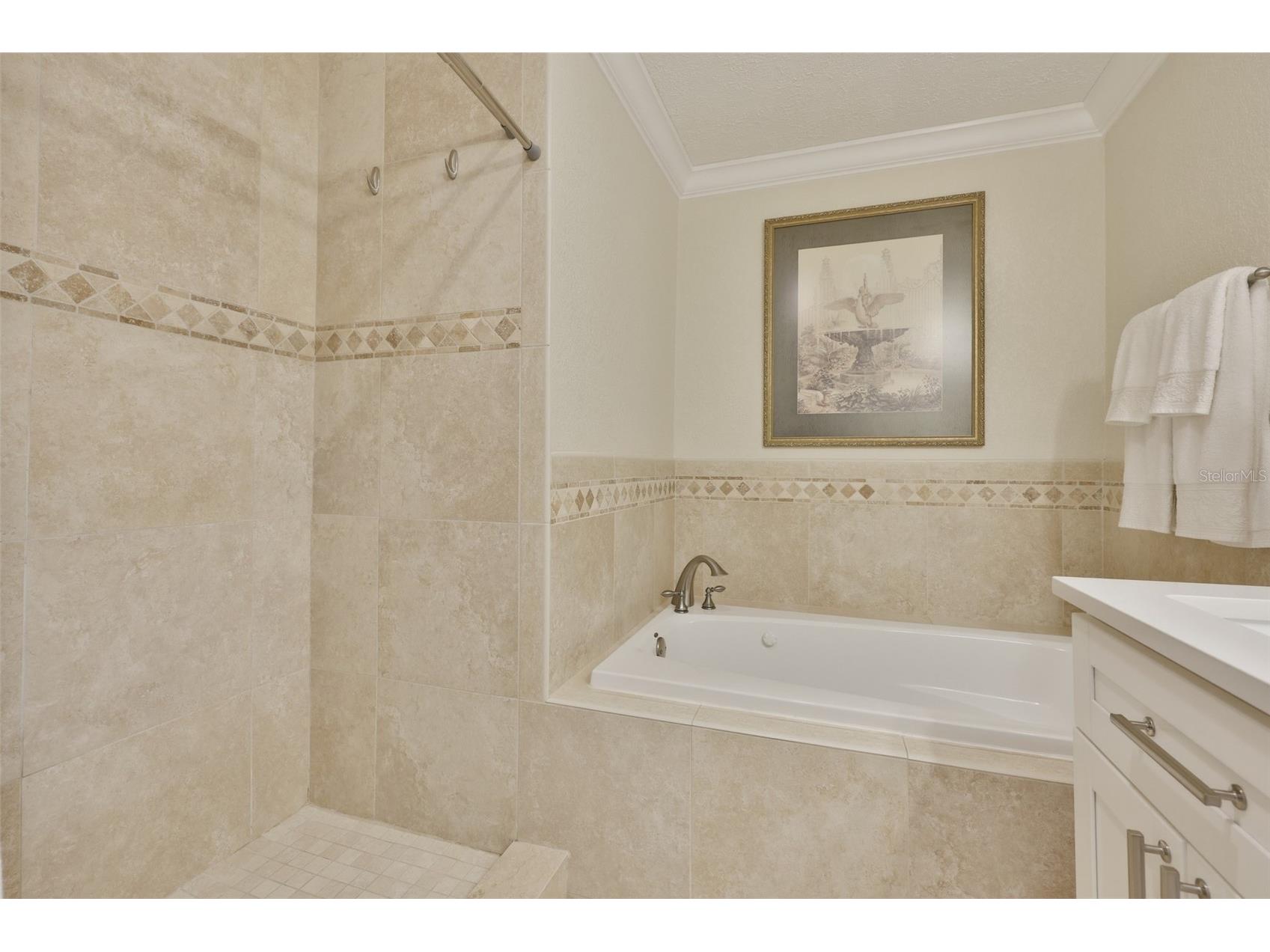 412 Stoneham Drive Sun City Center FL 33573 TB8526982 image32