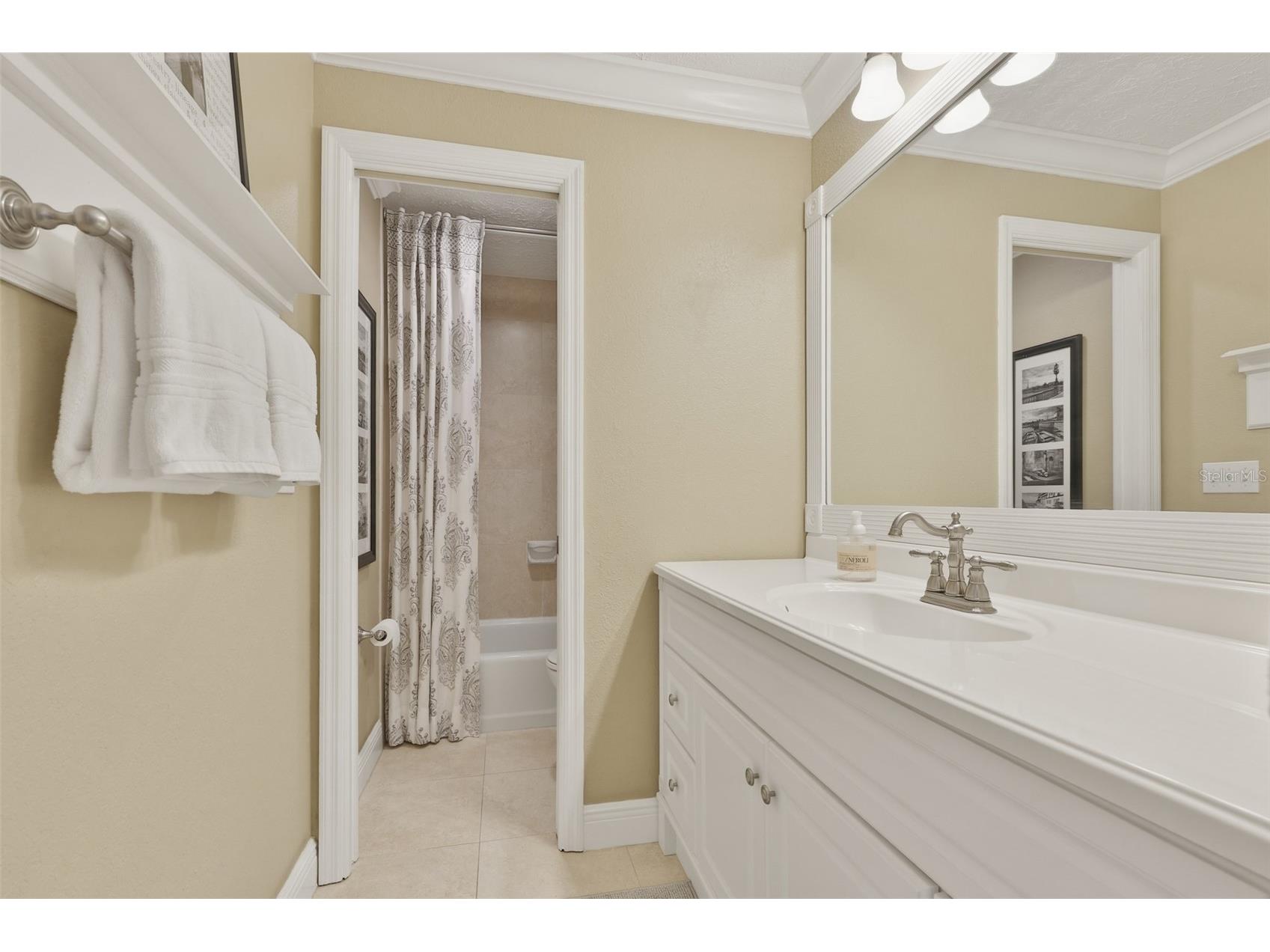412 Stoneham Drive Sun City Center FL 33573 TB8526982 image39