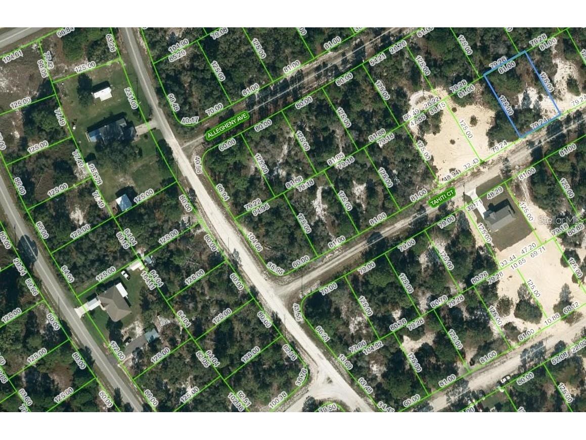 412 Tahiti Court Lake Placid FL 33852 OM705264 image1