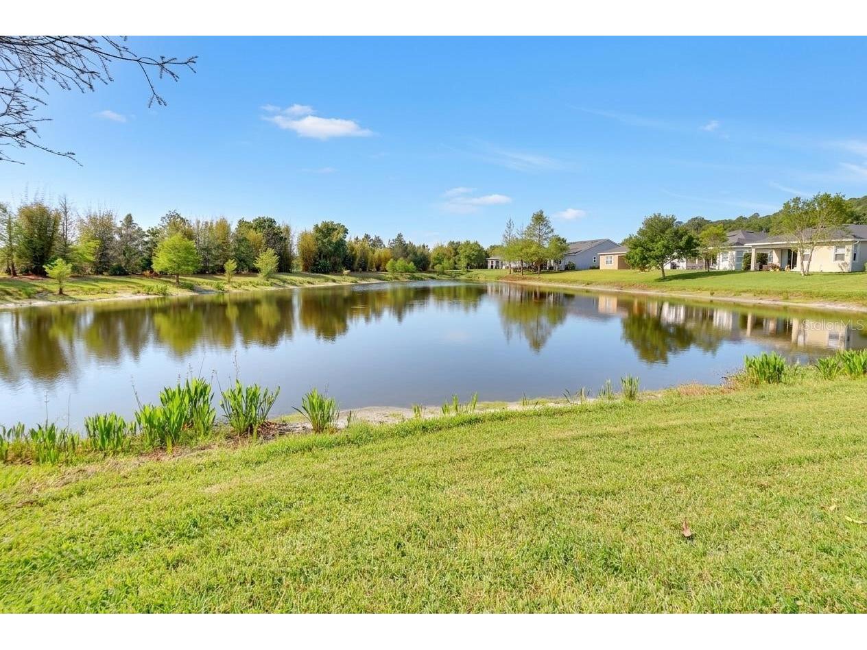 412 Tisbury Court Deland FL 32724 V4948420 image34
