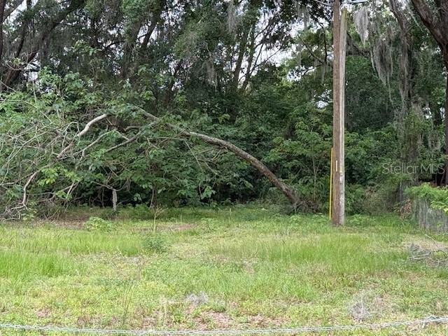 412 York Street Wildwood FL 34785 O6408168 image13