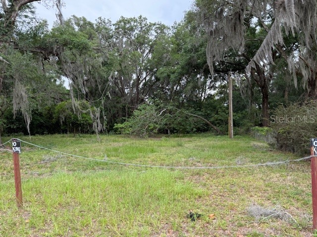 412 York Street Wildwood FL 34785 O6408168 image5