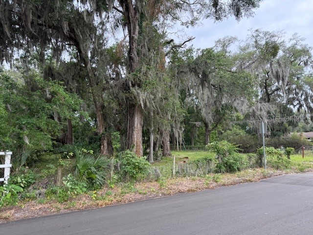 412 York Street Wildwood FL 34785 O6408168 image6