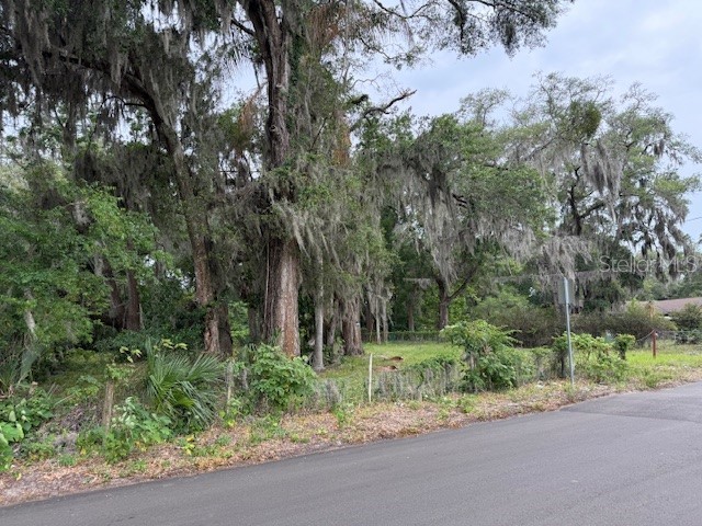 412 York Street Wildwood FL 34785 O6408168 image7