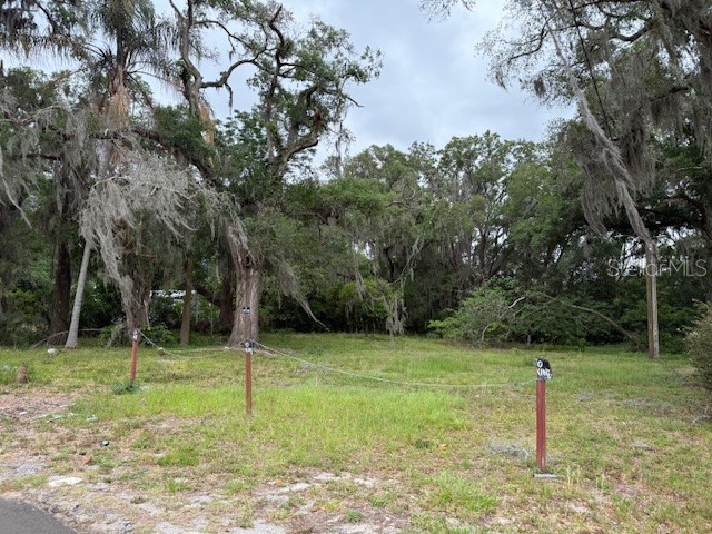 412 York Street Wildwood FL 34785 O6408168 image8