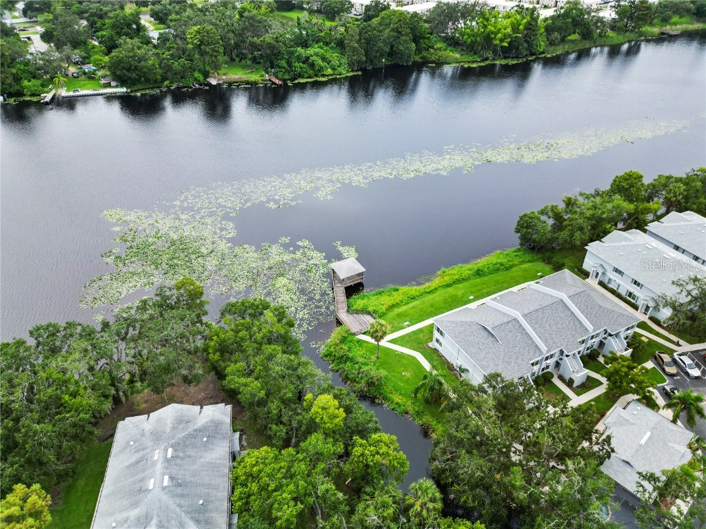 4120 Gradstone Place Tampa FL 33617 TB8446932 image15