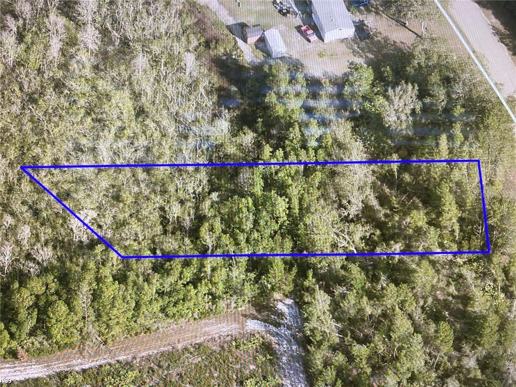 4120 Hog Valley Road Mims FL 32754 V4934443 image1