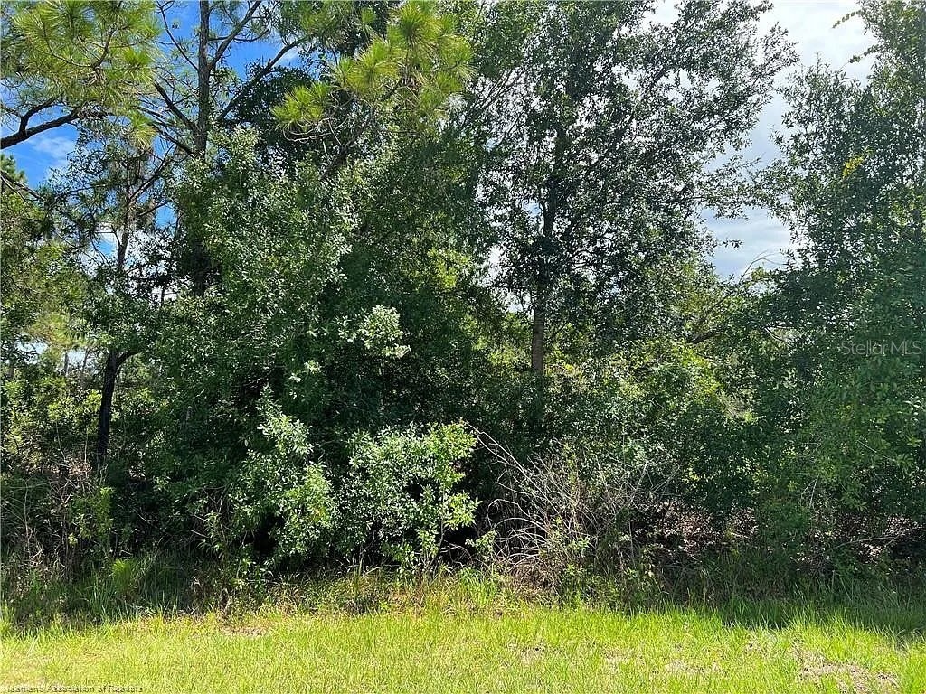 4120 Nogales Avenue Sebring FL 33872 L4961821 image1