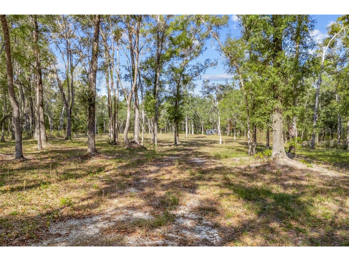 4120 NW 192nd Drive Newberry FL 32669 GC535652 image2