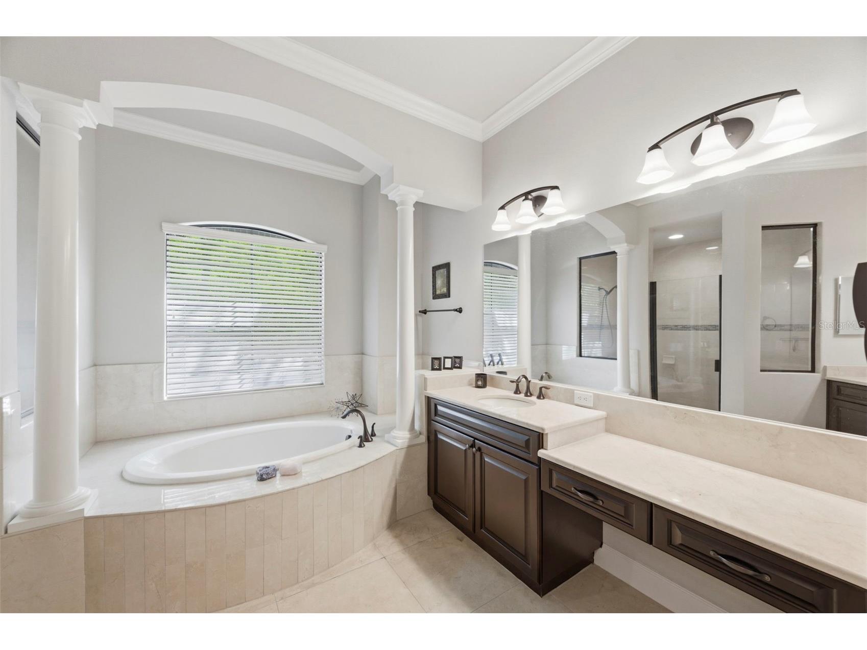 4120 Ridgemoor Drive Palm Harbor FL 34685 TB8491190 image17