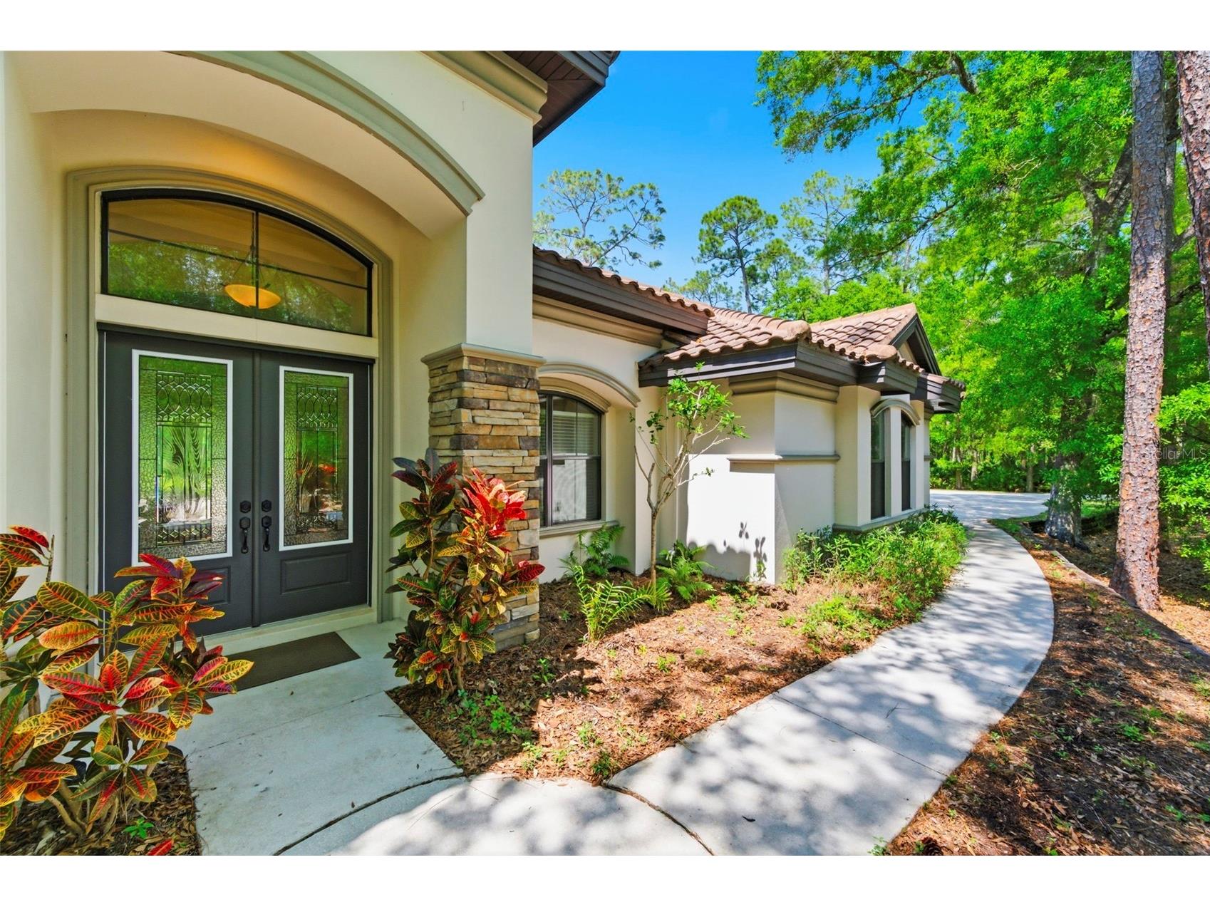 4120 Ridgemoor Drive Palm Harbor FL 34685 TB8491190 image2