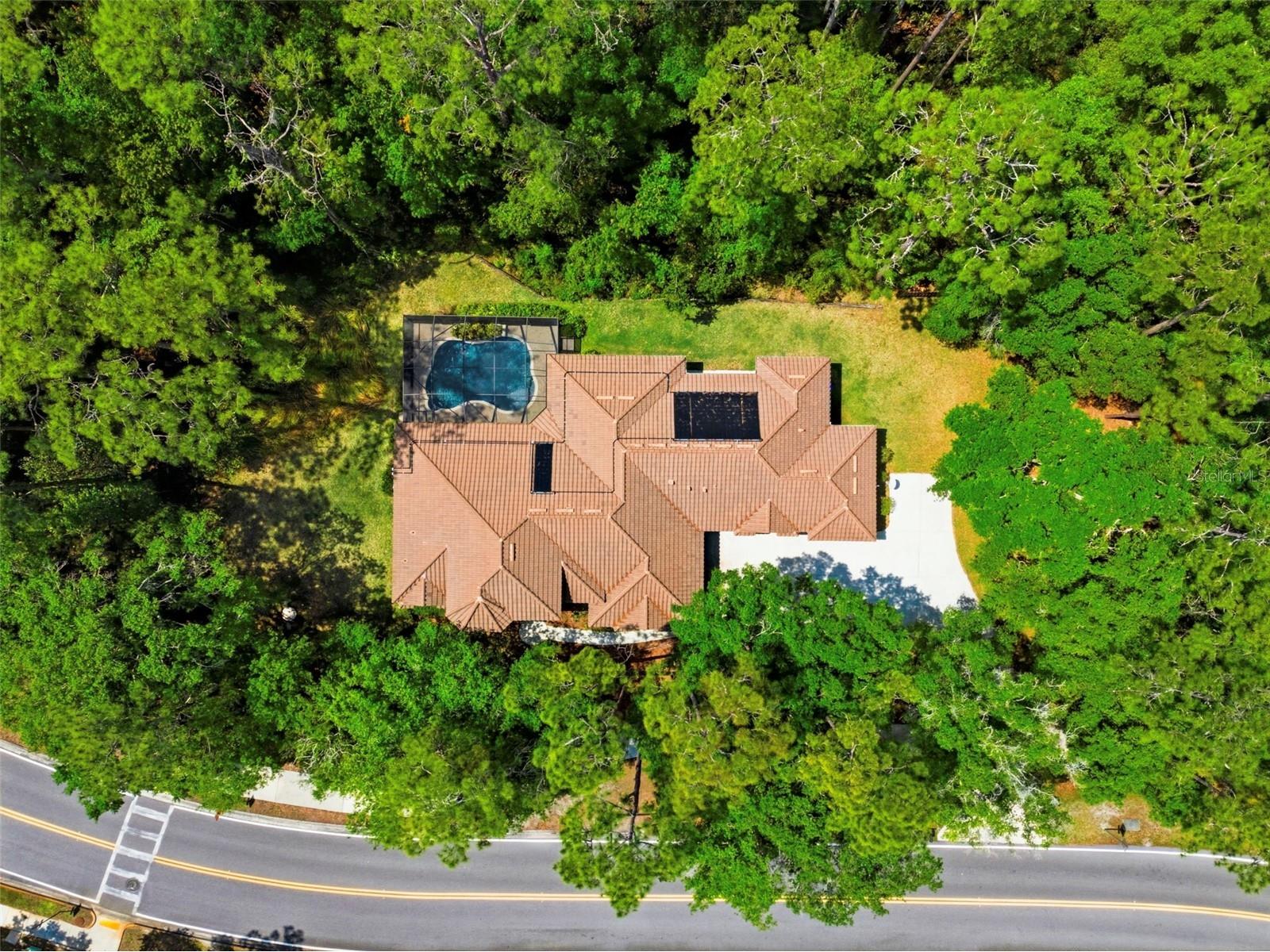 4120 Ridgemoor Drive Palm Harbor FL 34685 TB8491190 image51