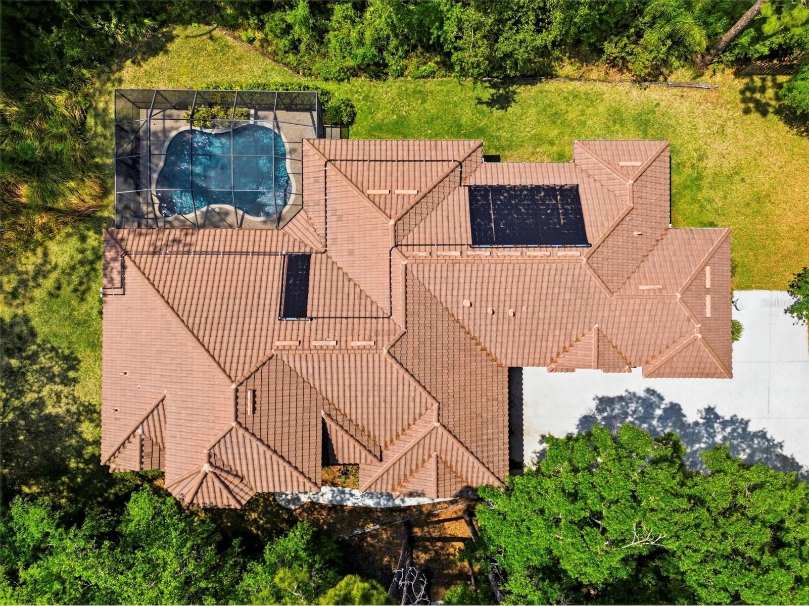 4120 Ridgemoor Drive Palm Harbor FL 34685 TB8491190 image52