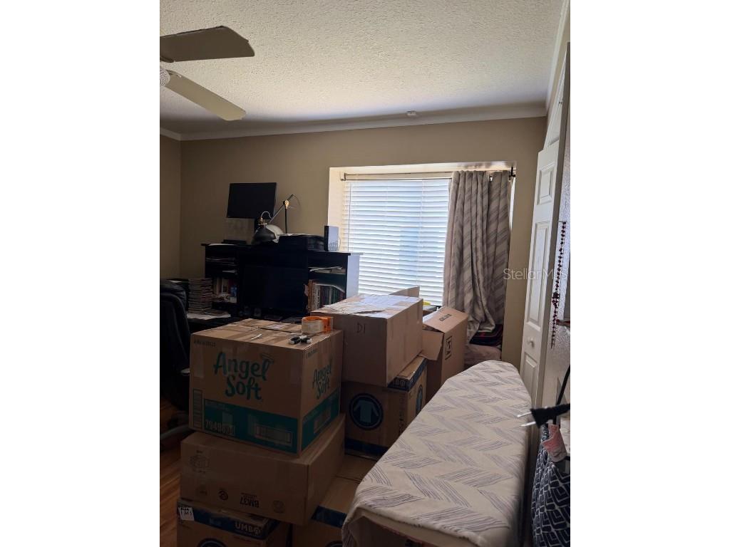 4120 Silvermoon Drive Plant City FL 33566 TB8452887 image4