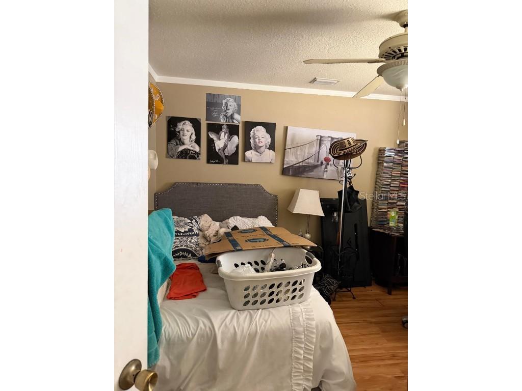 4120 Silvermoon Drive Plant City FL 33566 TB8452887 image5