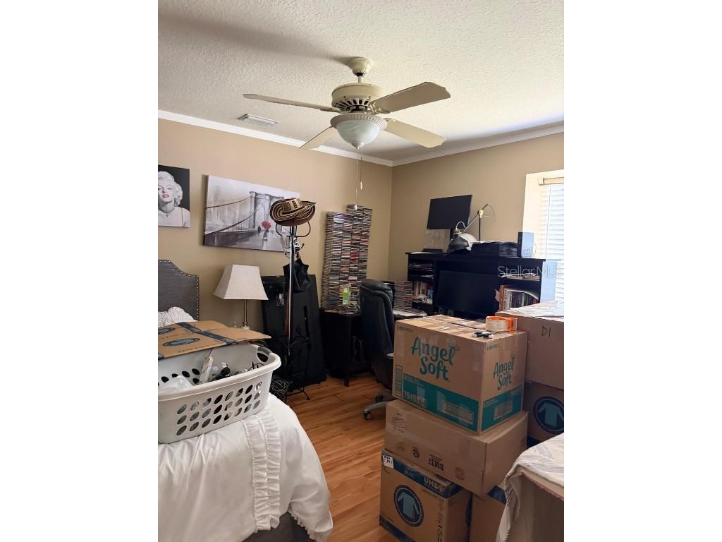 4120 Silvermoon Drive Plant City FL 33566 TB8452887 image6