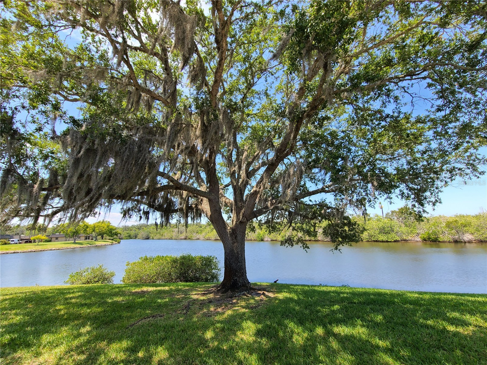 4120 Stratford Drive New Port Richey FL 34652 A4684198 image4