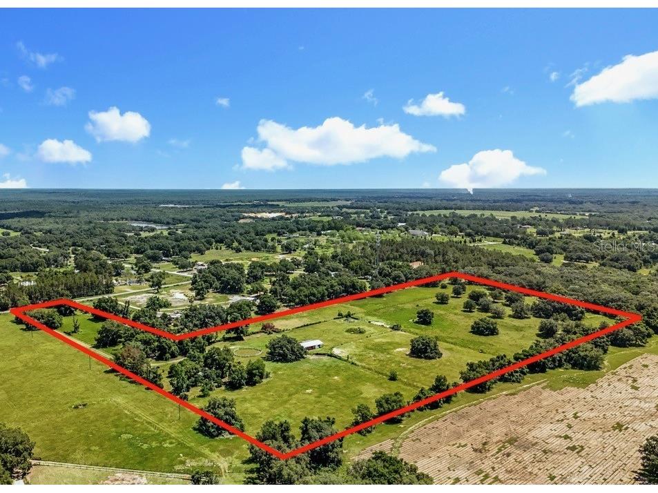 41204 Emeralda Island Road Leesburg FL 34788 O6288406 image1