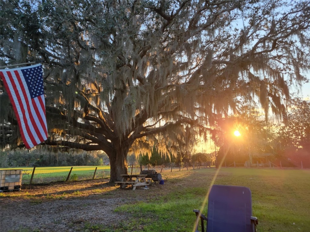 41204 Emeralda Island Road Leesburg FL 34788 O6288406 image49