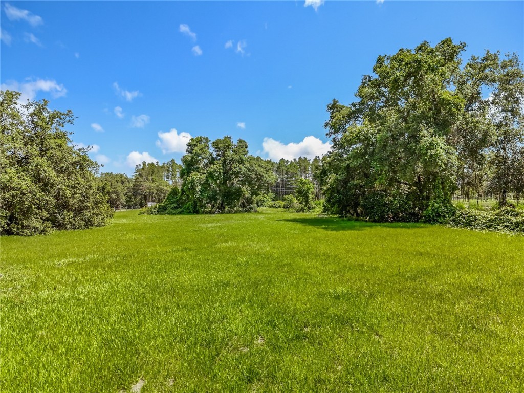 41204 Emeralda Island Road Leesburg FL 34788 O6288414 image40