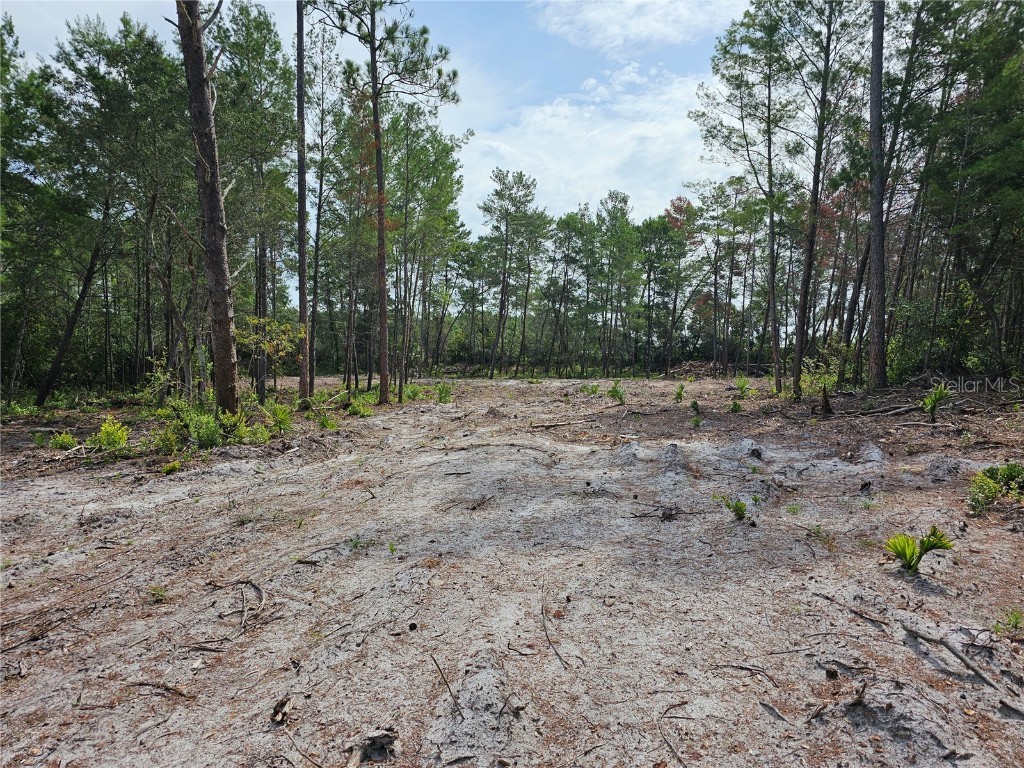 41206 Aspen Street Eustis FL 32736 - LAKE NORRIS G5072363 image1