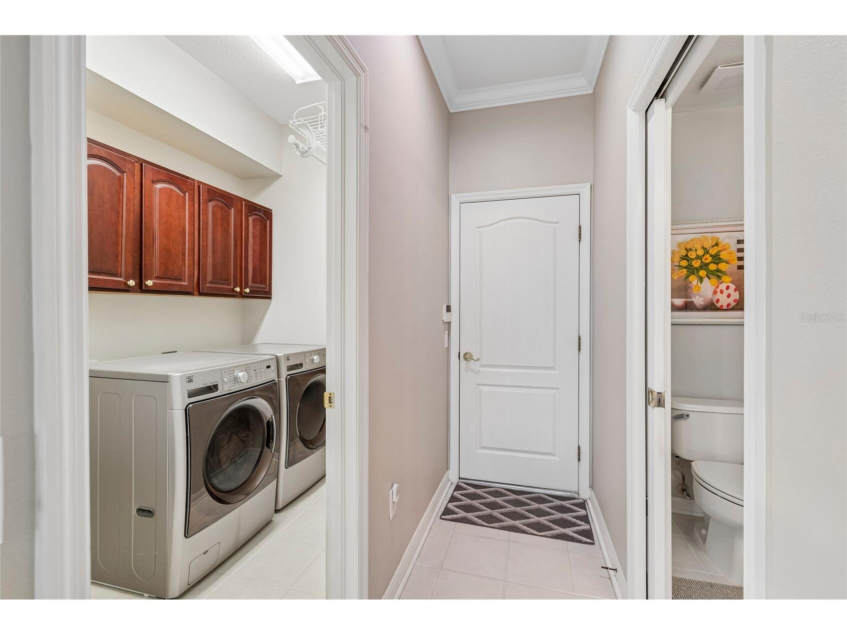 4121 Balington Drive Valrico FL 33596 TB8508569 image38