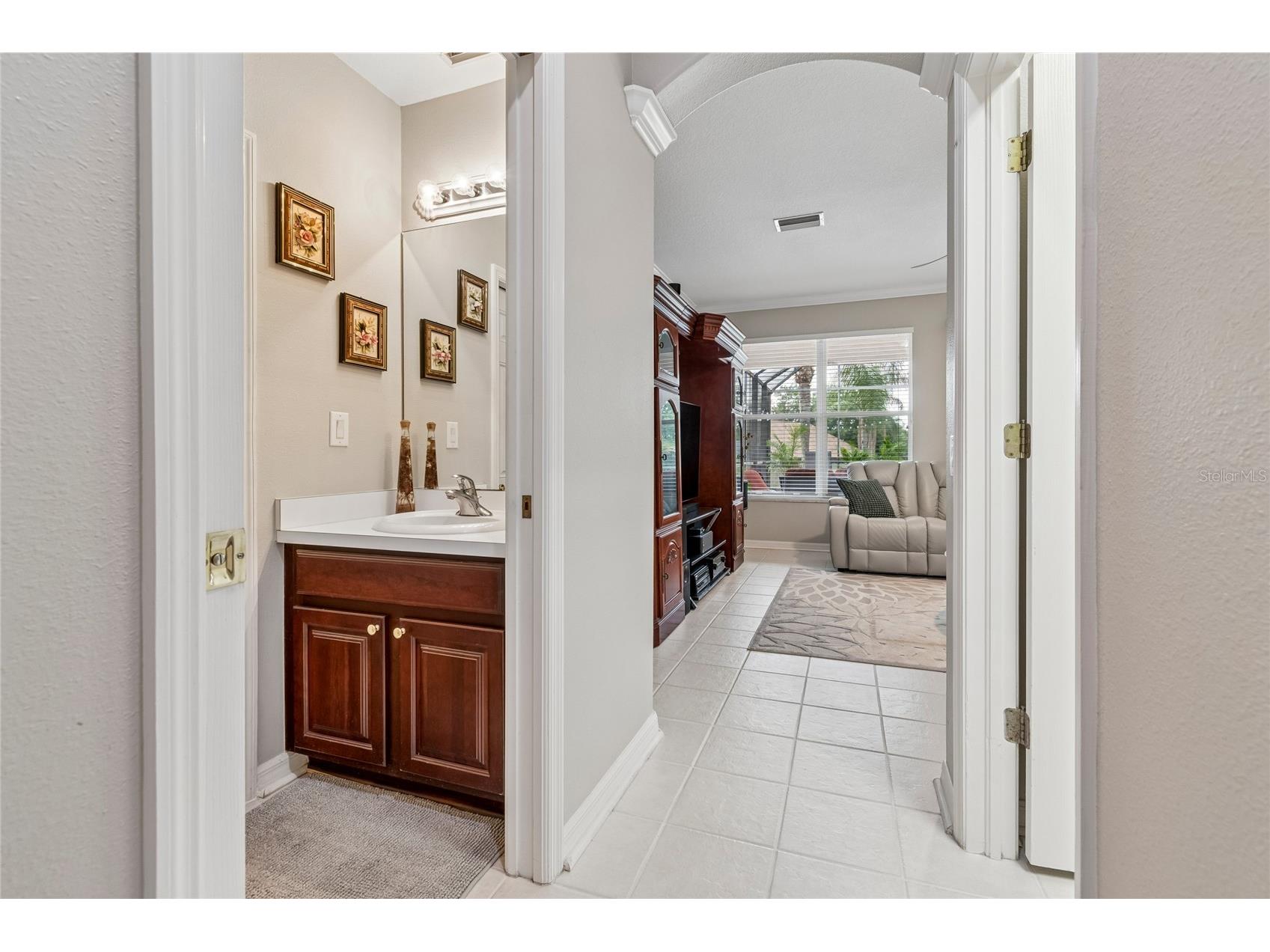 4121 Balington Drive Valrico FL 33596 TB8508569 image40