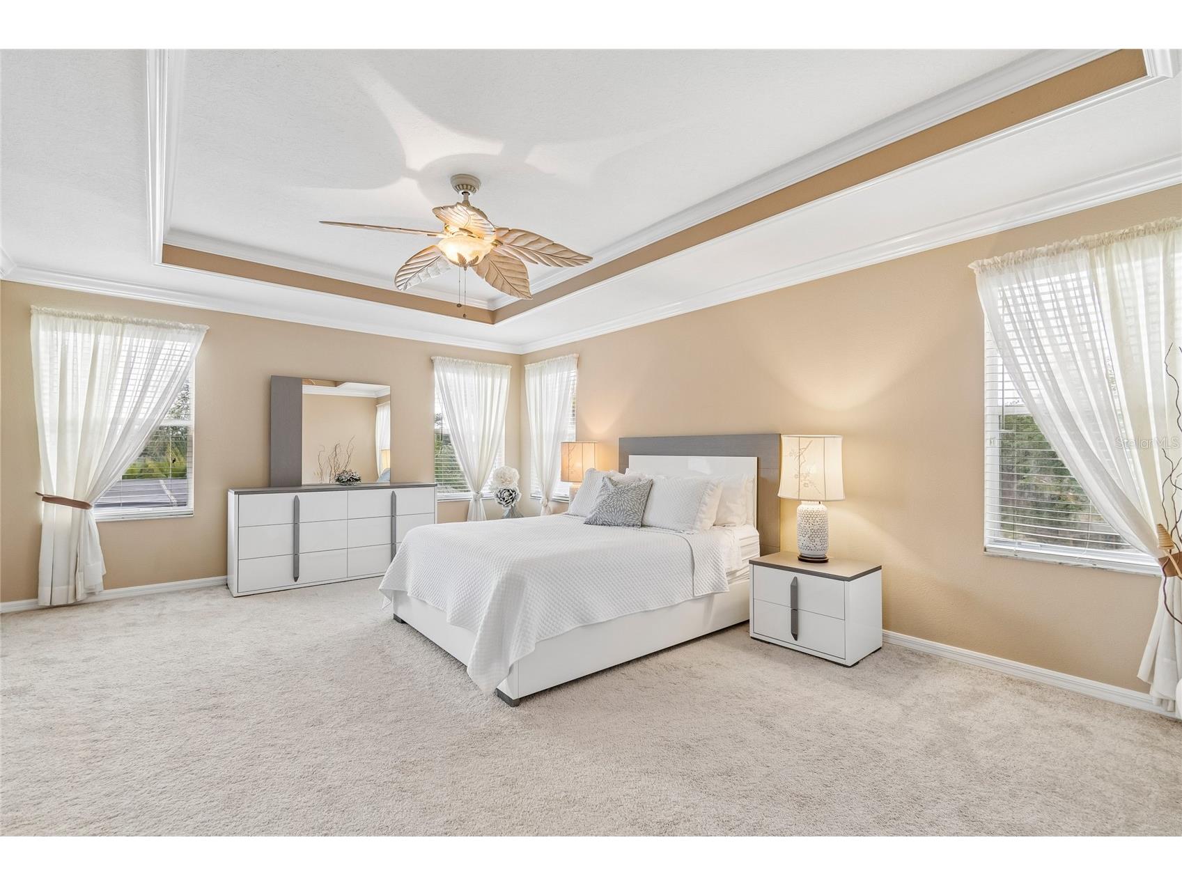 4121 Balington Drive Valrico FL 33596 TB8508569 image44
