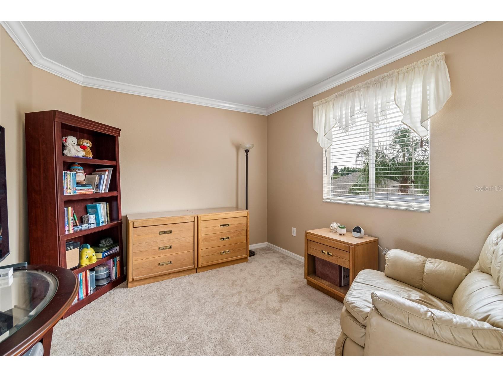 4121 Balington Drive Valrico FL 33596 TB8508569 image47