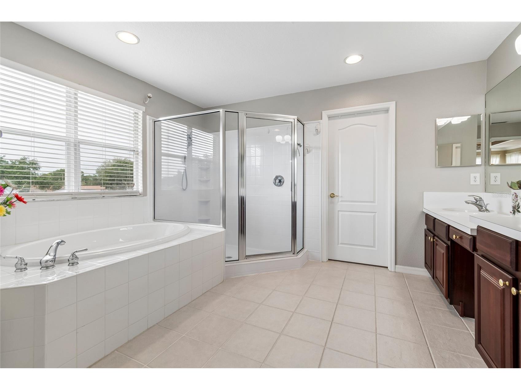 4121 Balington Drive Valrico FL 33596 TB8508569 image50