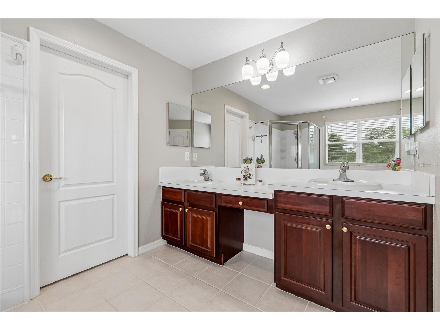 4121 Balington Drive Valrico FL 33596 TB8508569 image51