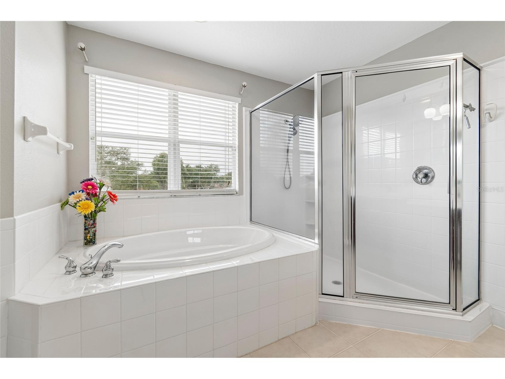 4121 Balington Drive Valrico FL 33596 TB8508569 image52