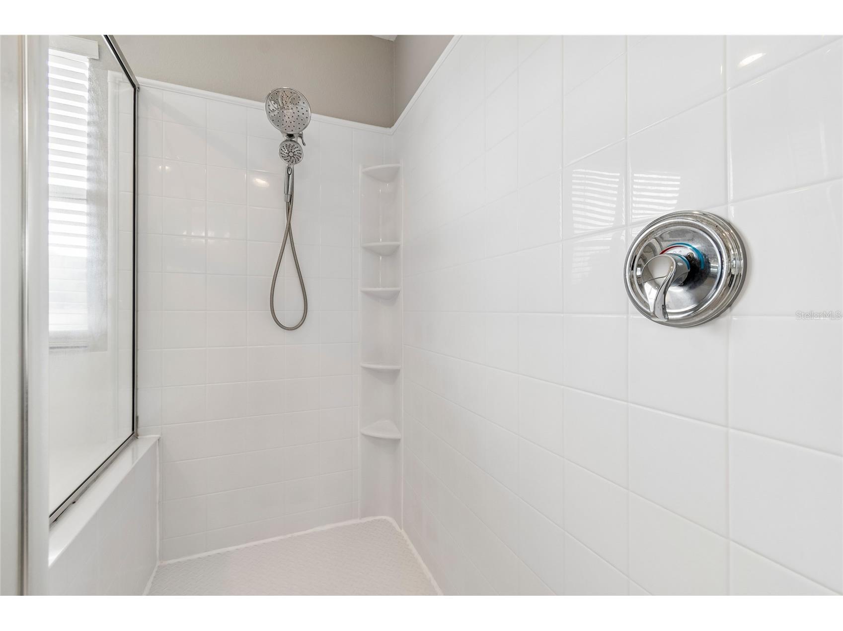 4121 Balington Drive Valrico FL 33596 TB8508569 image53