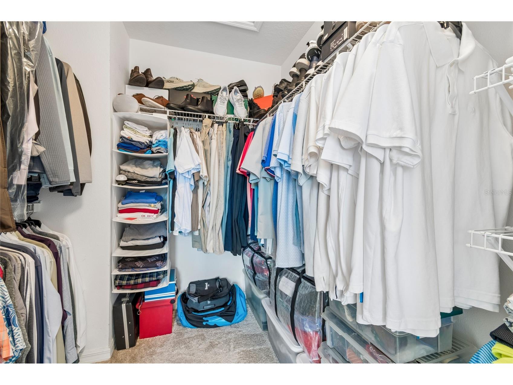 4121 Balington Drive Valrico FL 33596 TB8508569 image57