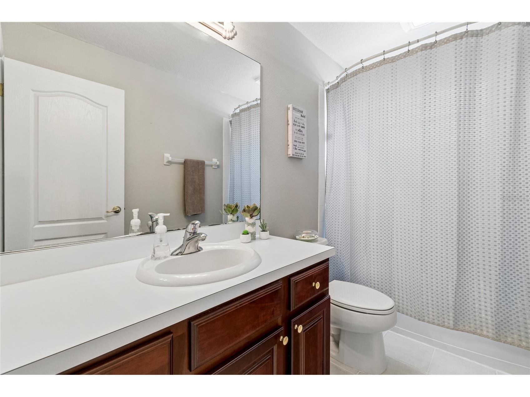 4121 Balington Drive Valrico FL 33596 TB8508569 image64