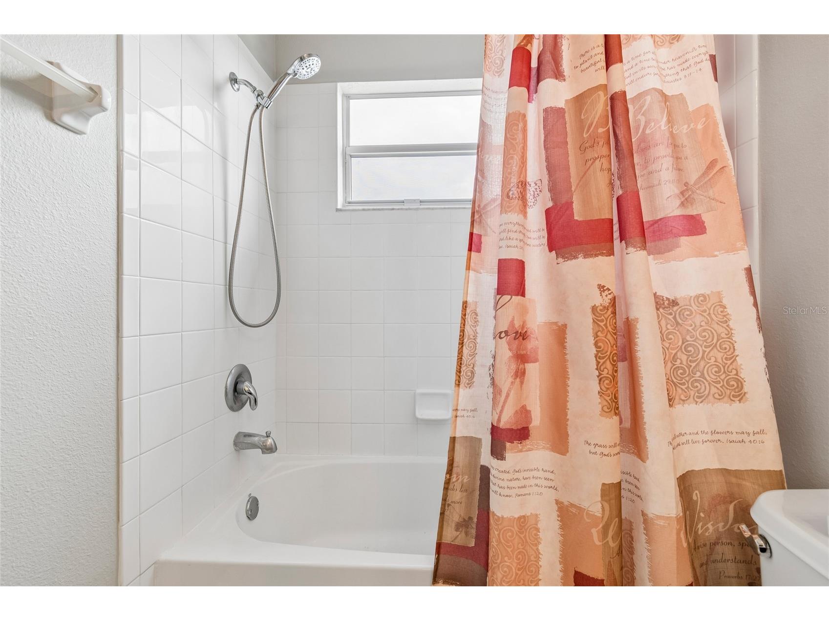 4121 Balington Drive Valrico FL 33596 TB8508569 image67