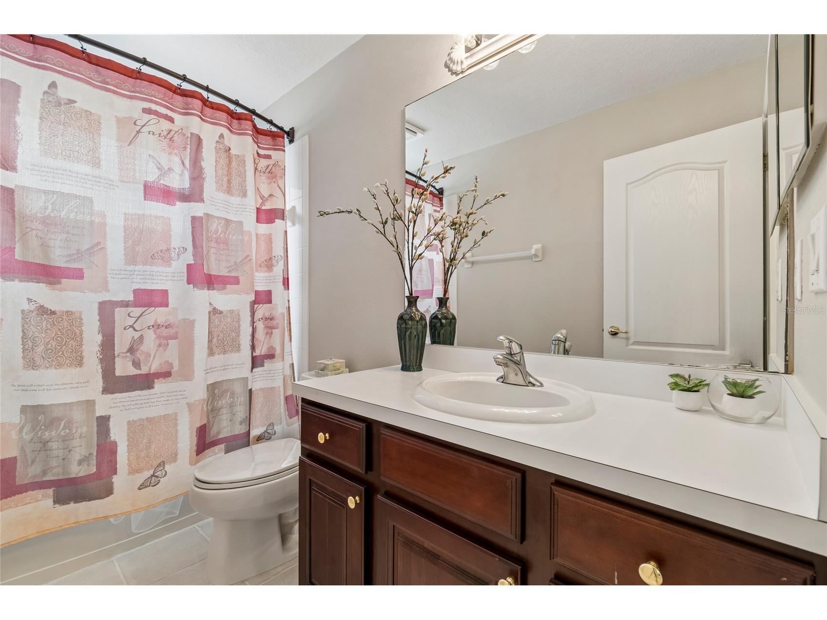 4121 Balington Drive Valrico FL 33596 TB8508569 image69