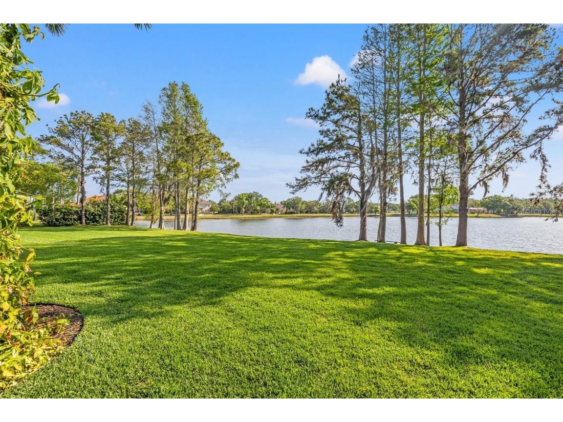 4121 Highland Park Circle Lutz FL 33558 TB8368468 image44