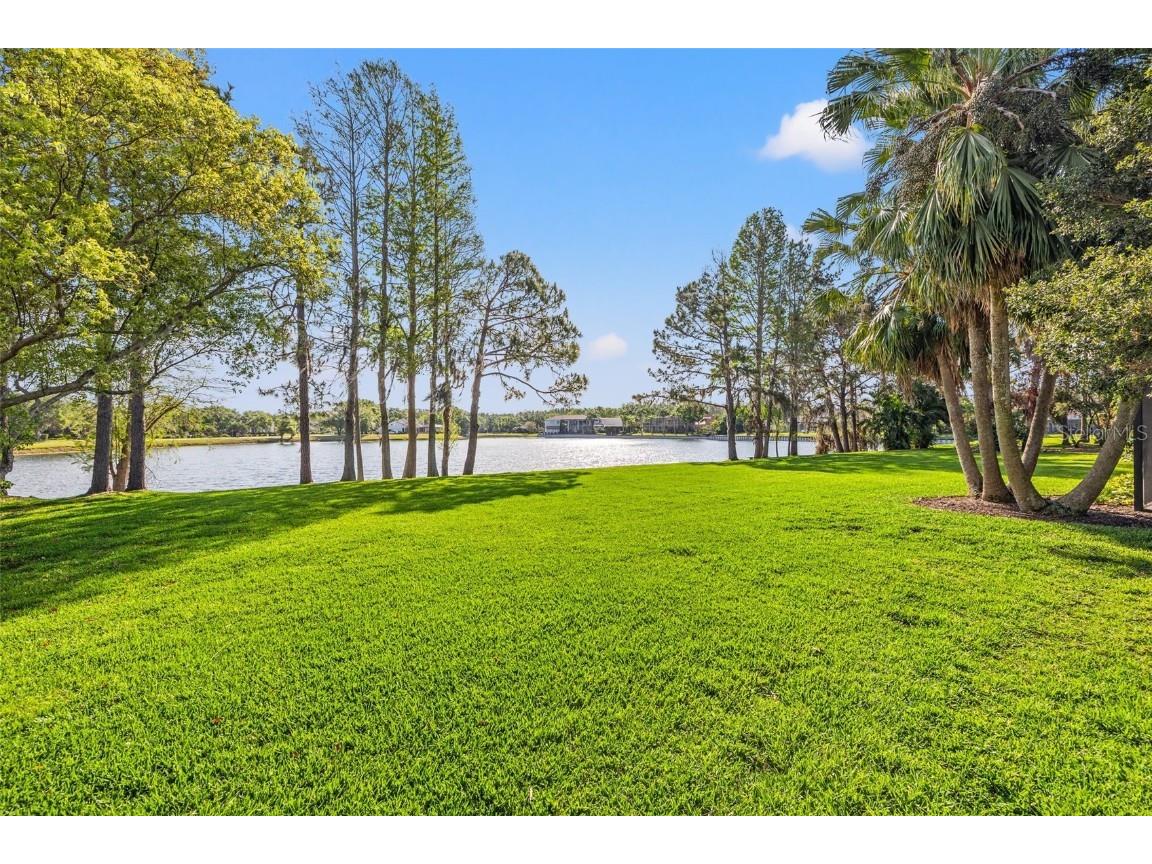 4121 Highland Park Circle Lutz FL 33558 TB8368468 image45