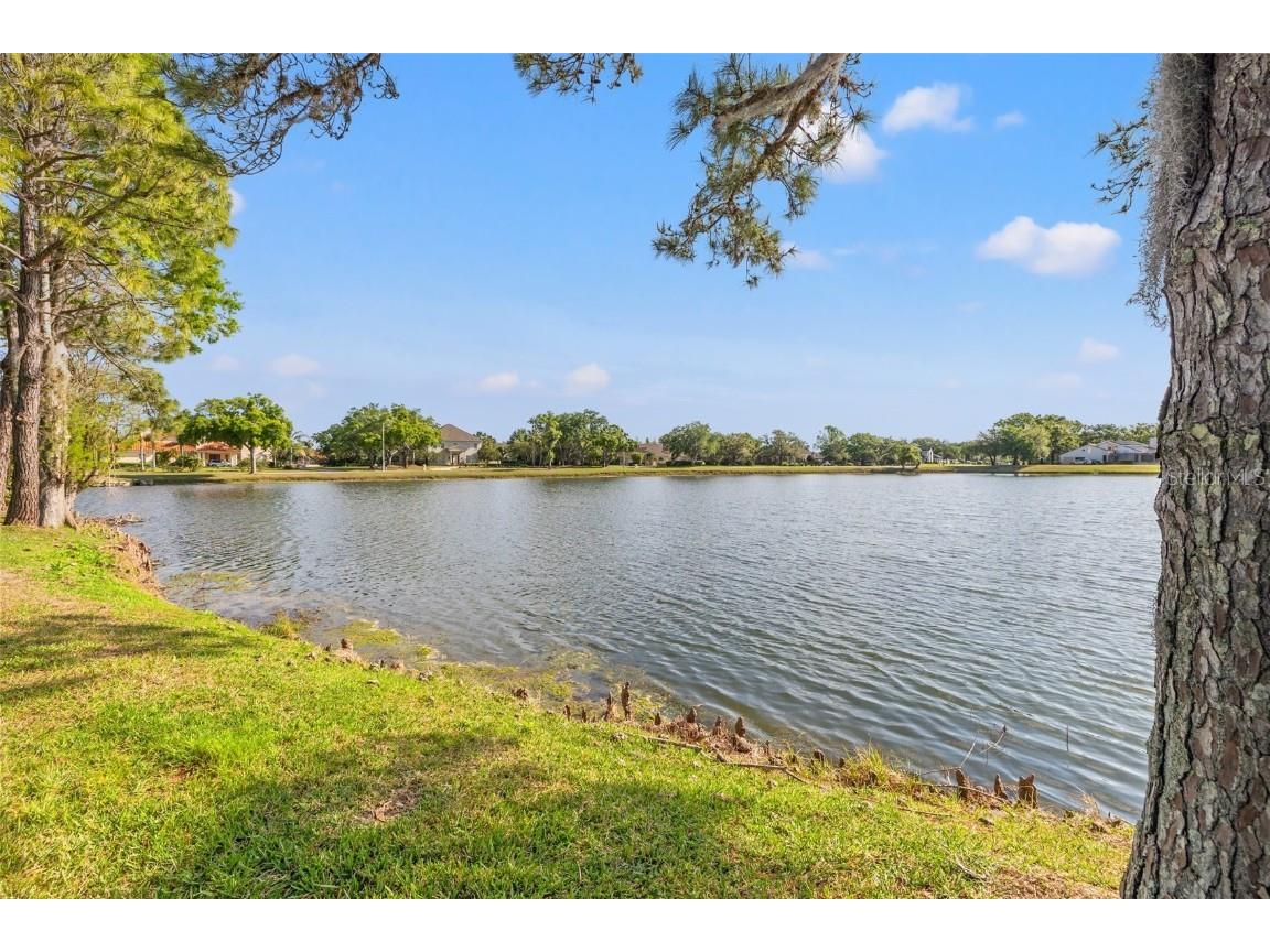 4121 Highland Park Circle Lutz FL 33558 TB8368468 image48