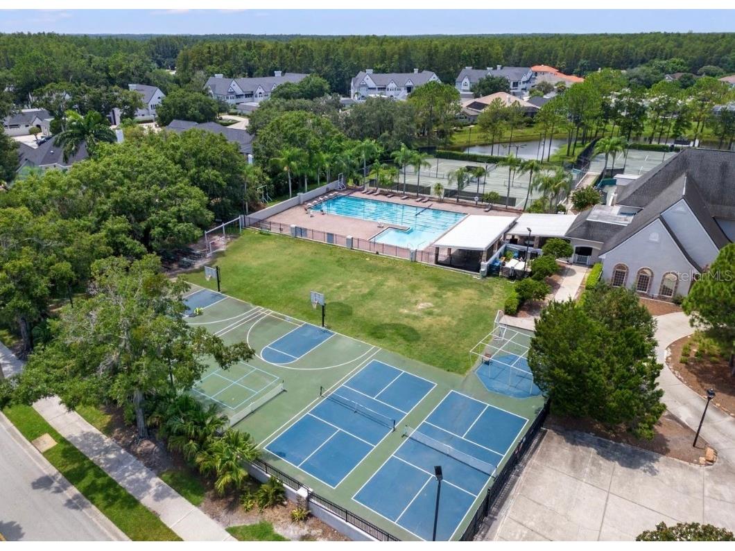 4121 Highland Park Circle Lutz FL 33558 TB8368468 image53