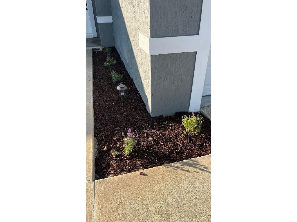 4121 Sw 172nd Place Rd Ocala FL 34473 O6316644 image36