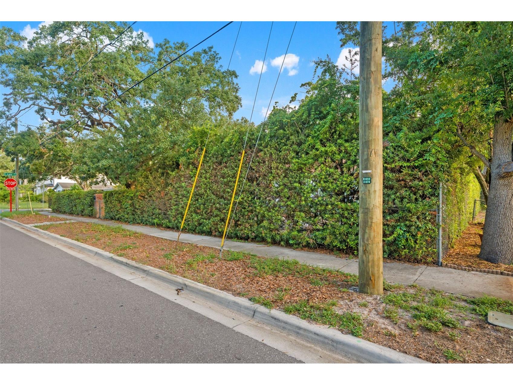 4121 West Palmira Avenue Tampa FL 33629 TB8516907 image1