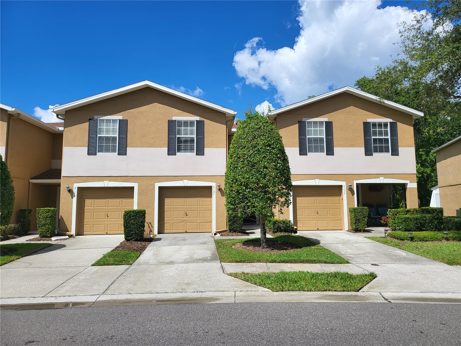 4121 Winding River Way Land O Lakes FL 34639 TB8474405 image1