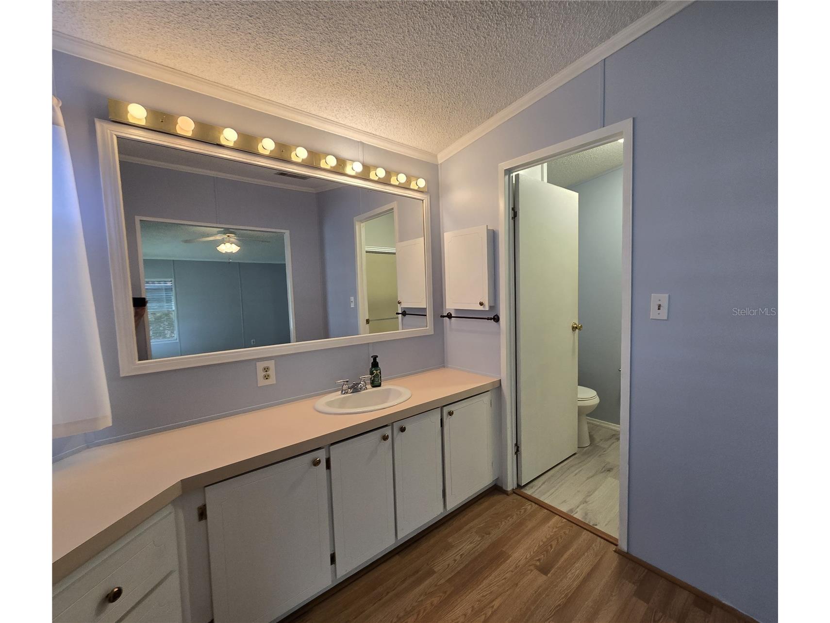4122 Greenbluff Road #821 Zellwood FL 32798 - LAKE COHEN AND LAKE GRASSMERE O6401503 image14