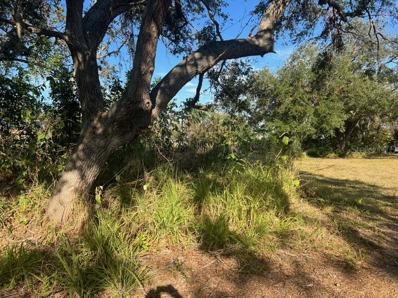 4122 N Lockwood Ridge Road Sarasota FL 34234 A4636342 image4