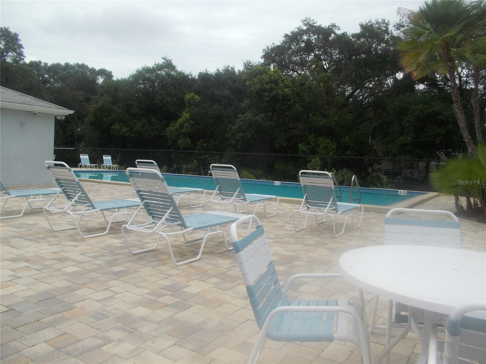 4122 Waterside Island Court Tampa FL 33617 TB8493771 image18